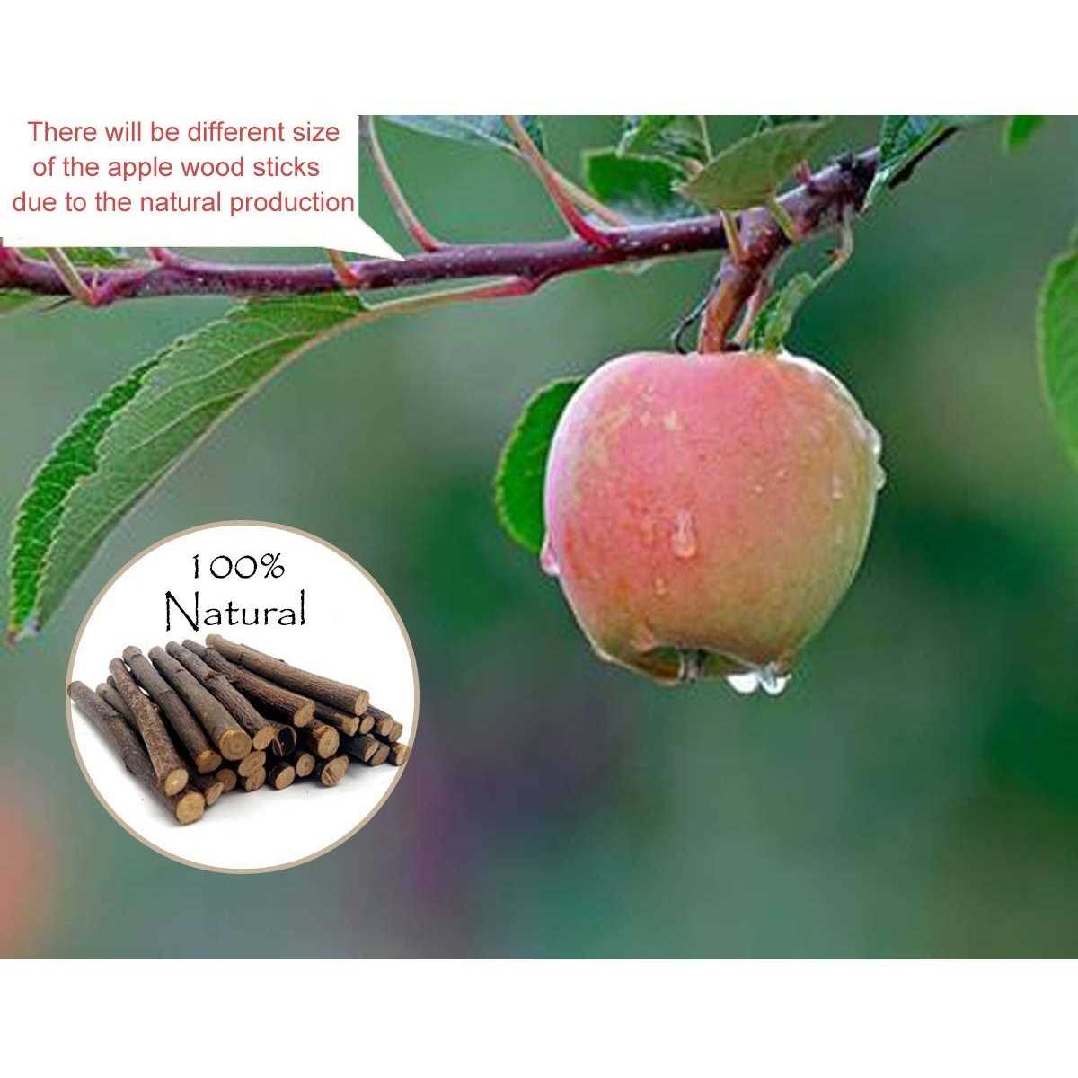 500g Organic Apple Sticks for Rabbits Wood Tree Branches Pet Snacks Chew Toys Branch for Guinea Pigs Chinchilla Squirrel Bunny Hamster Small Animals - Healthber