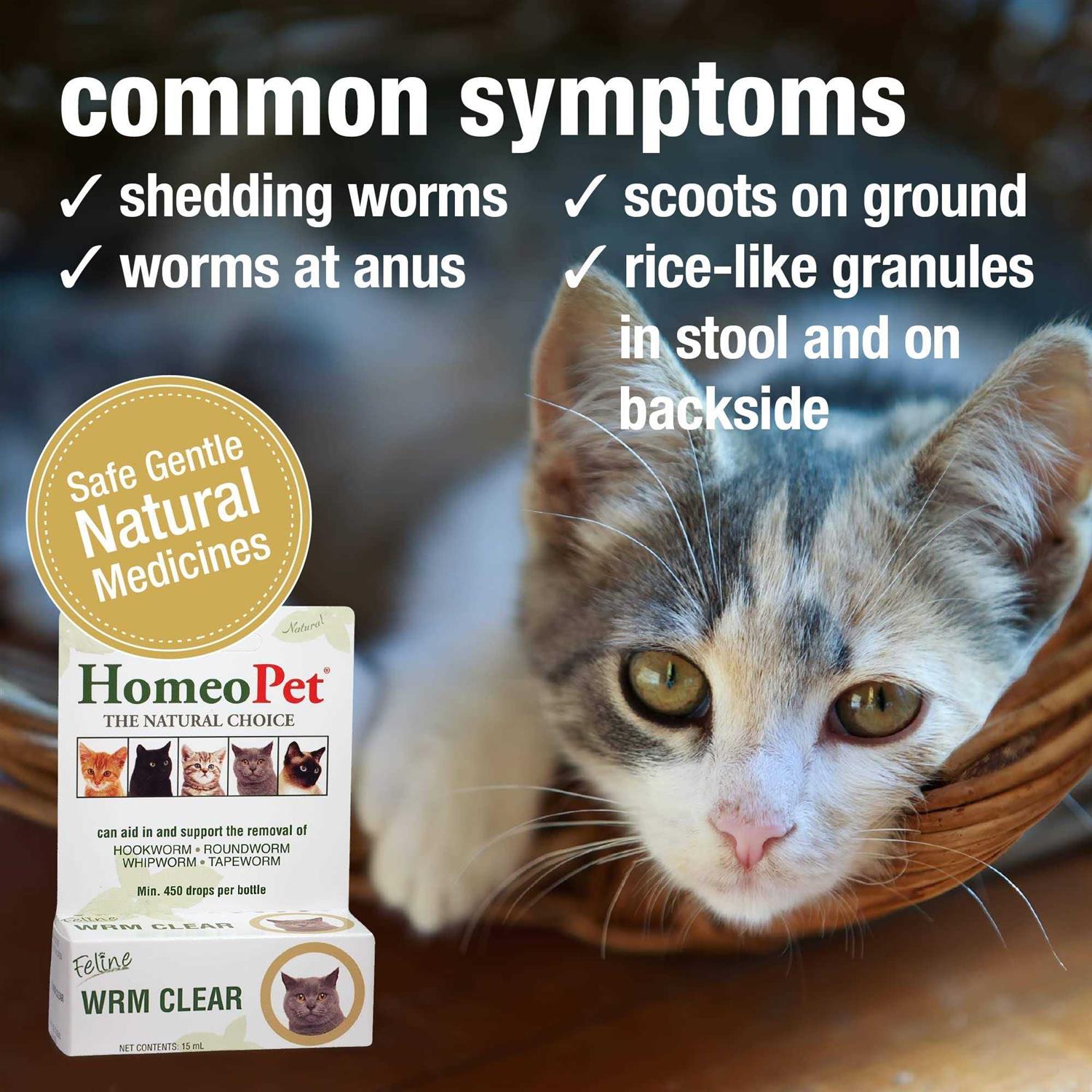 HomeoPet Feline WRM Clear - Healthber