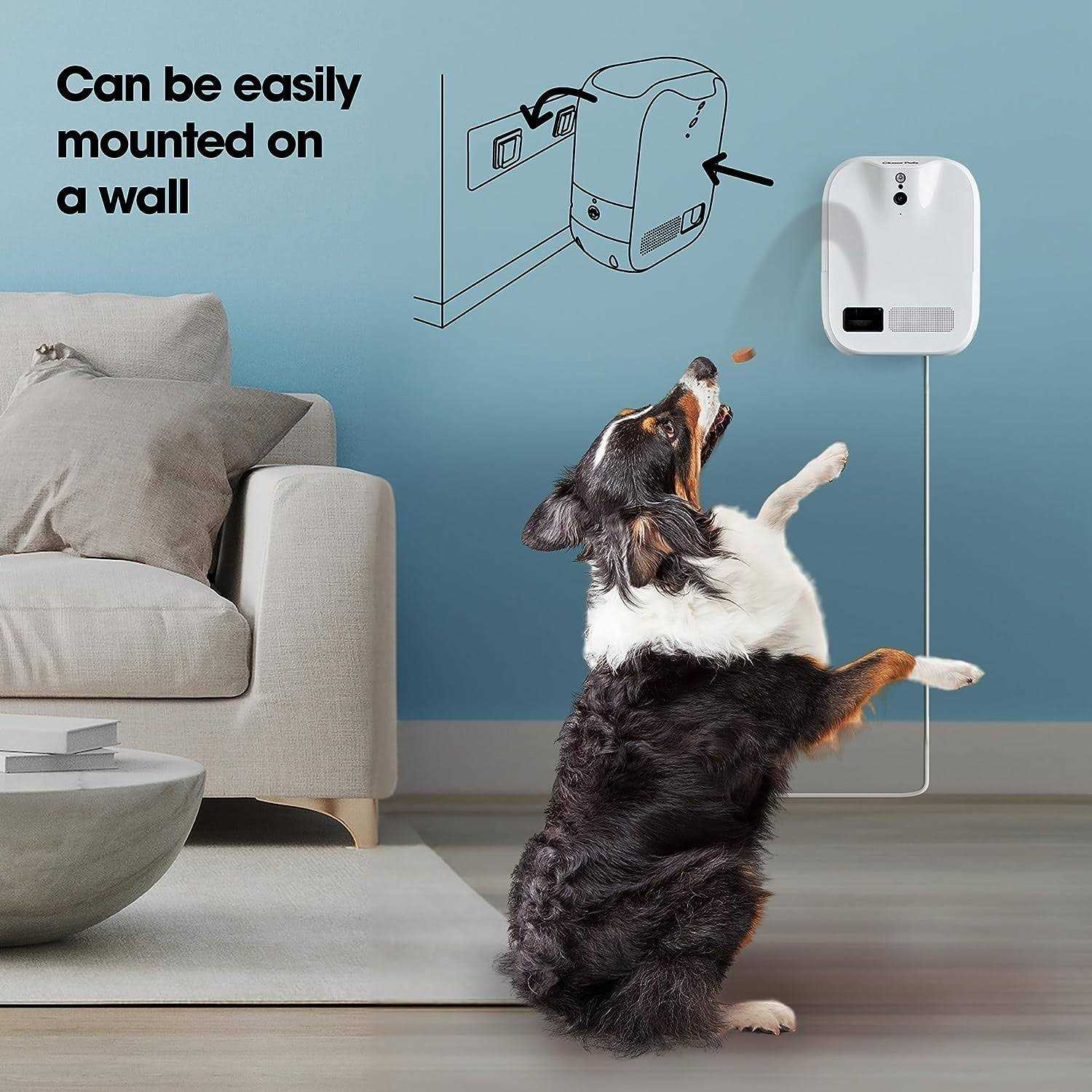 Closer Pets TreatView 1080p Pet Camera and Treat Dispenser with Motion Activation - Healthber