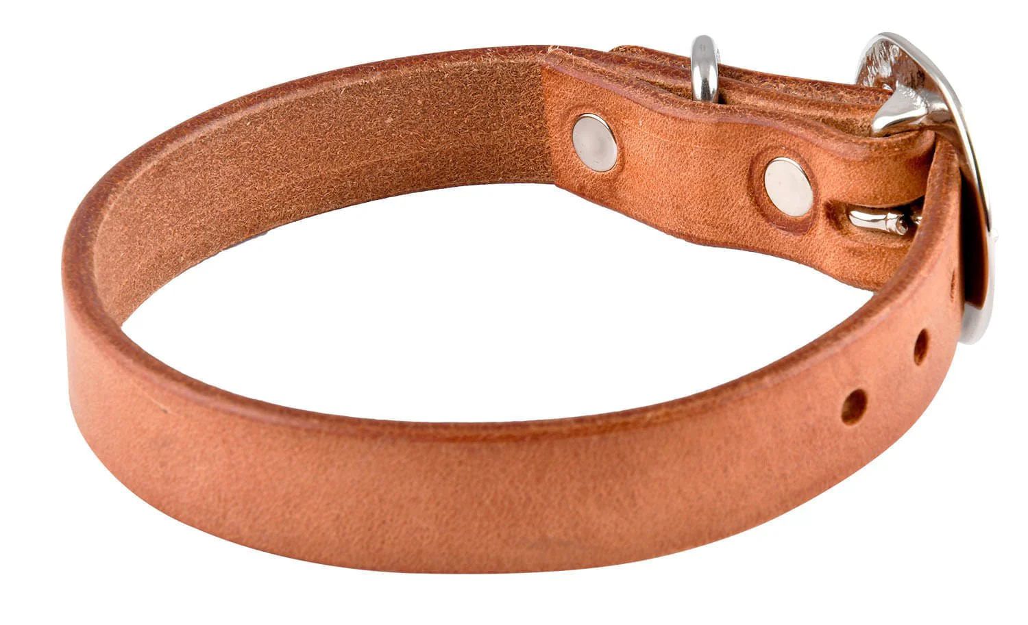 San Saba Dog Collar - Healthber