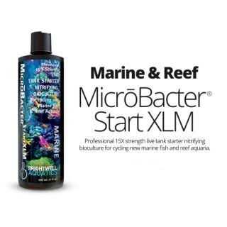Brightwell Aquatics MicroBacter Start XLM - Healthber