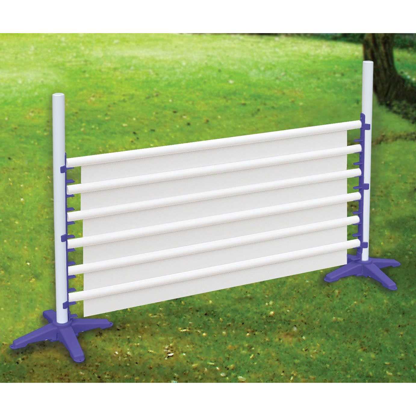 Agility Single and Panel Jumps - Healthber