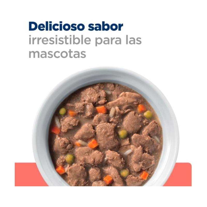 Hill’s Prescription Diet ONC Care Wet Dog Food - Healthber