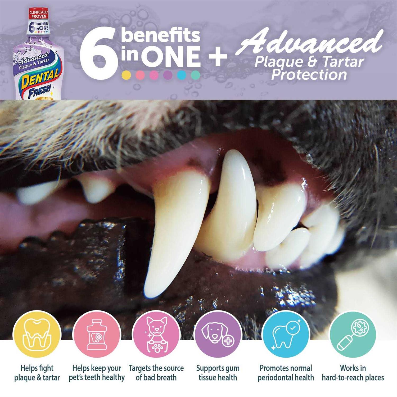 Dental Fresh Advanced Plaque and Tartar Water Additive for Dogs - Healthber