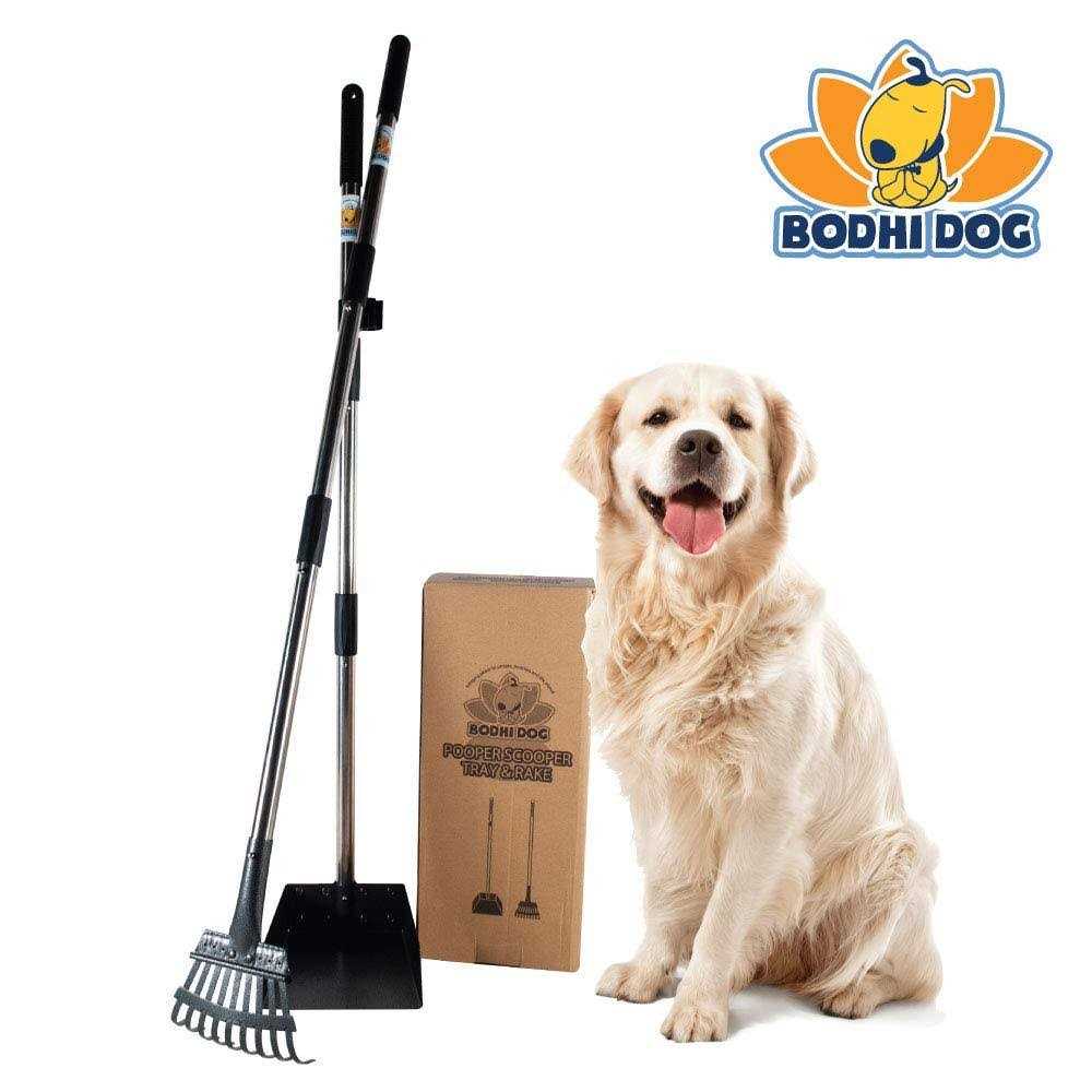 Bodhi Dog Metal Long Handle Tray and Rake Pooper Scooper Small, Medium, Large, XL Pets - Healthber