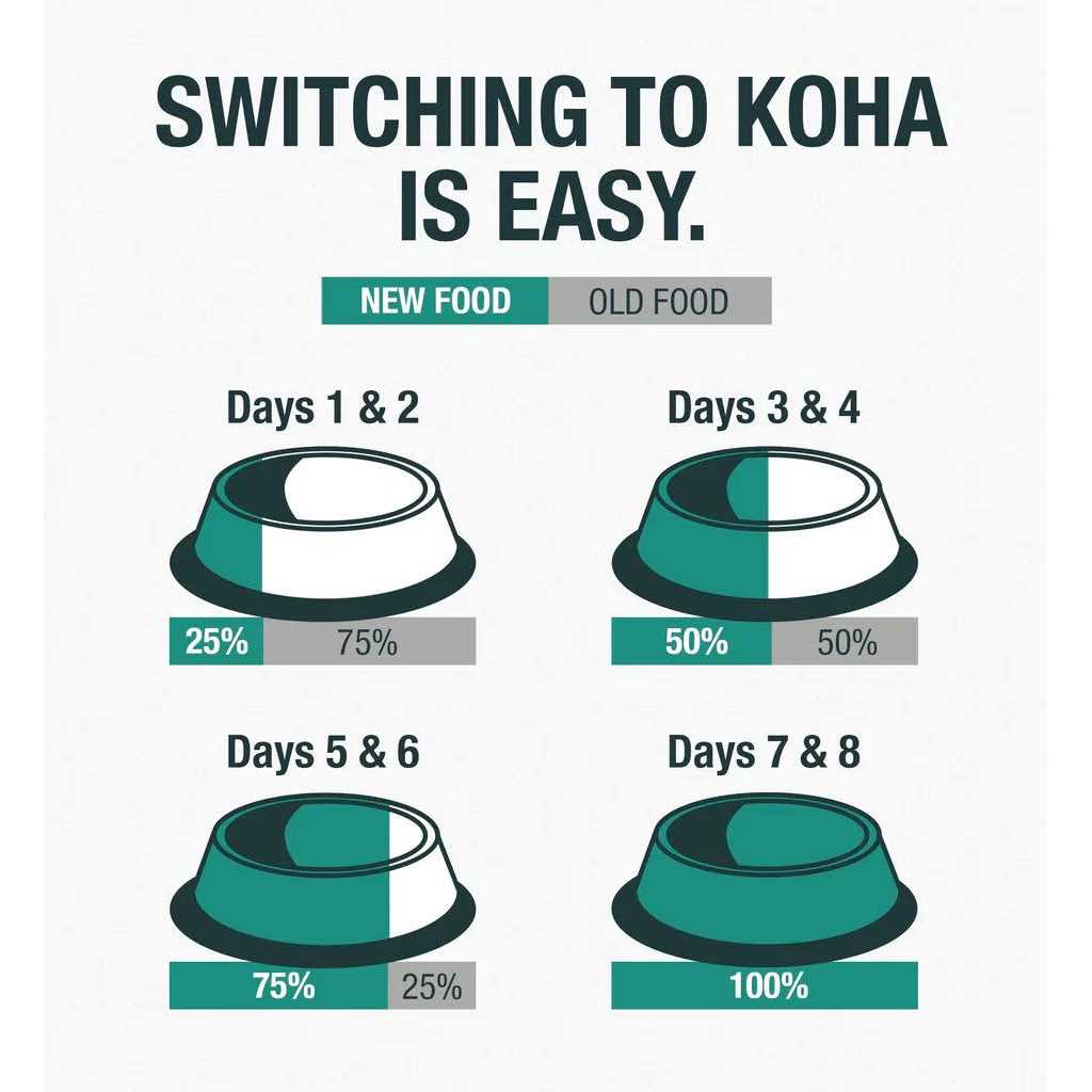 Koha Grain & Potato Free Limited Ingredient Diet Salmon Entree with Pumpkin Canned Dog Food - Healthber