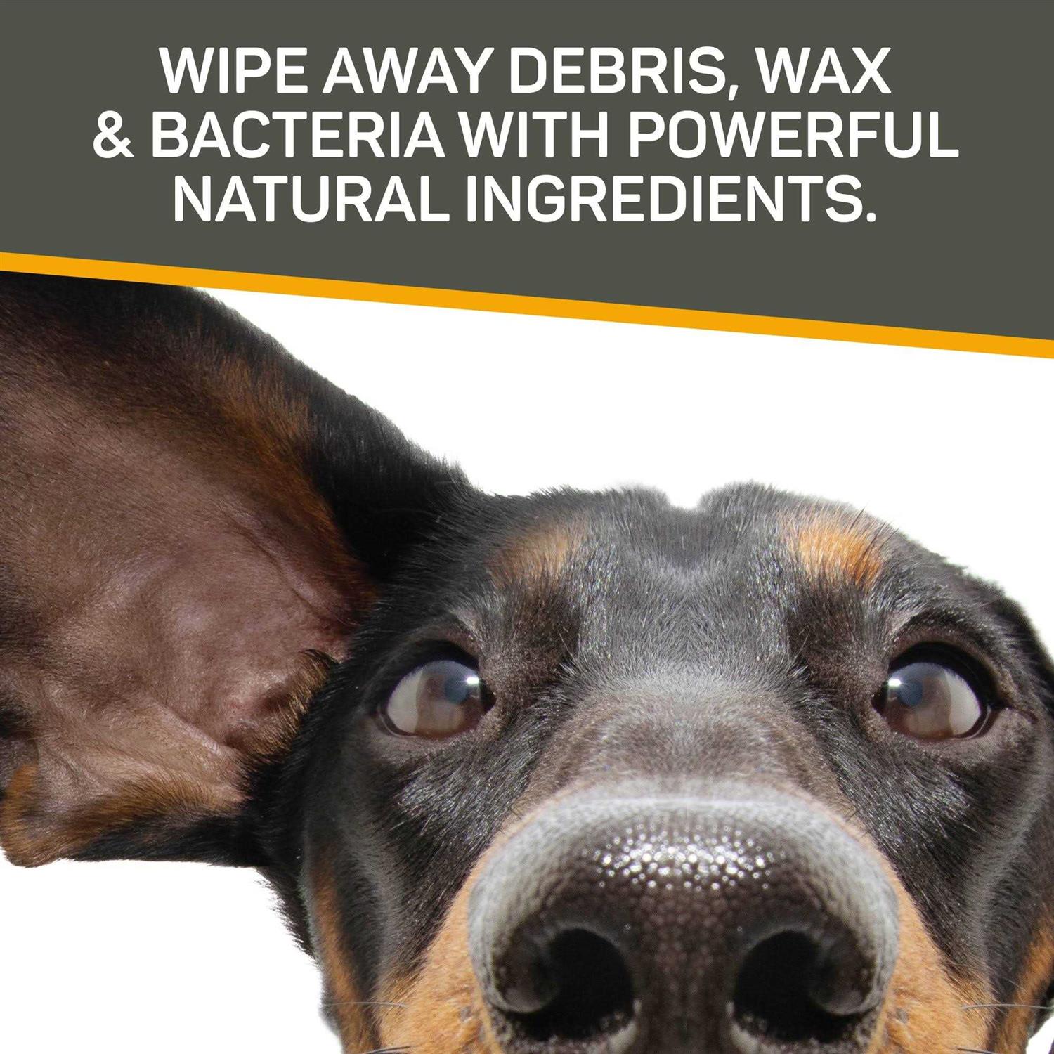 Silver Honey Rapid Ear Care Vet Strength Pet Wipes - Healthber