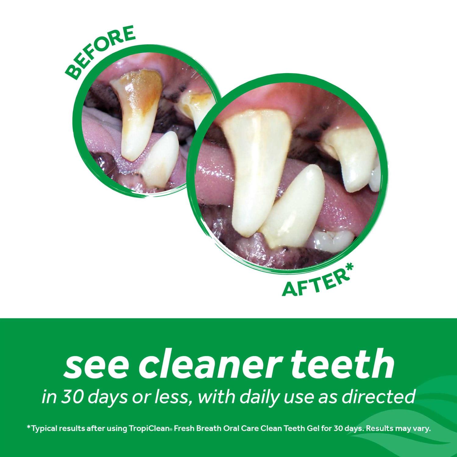 Fresh Breath Tropiclean Clean Teeth Oral Care Gel - Healthber