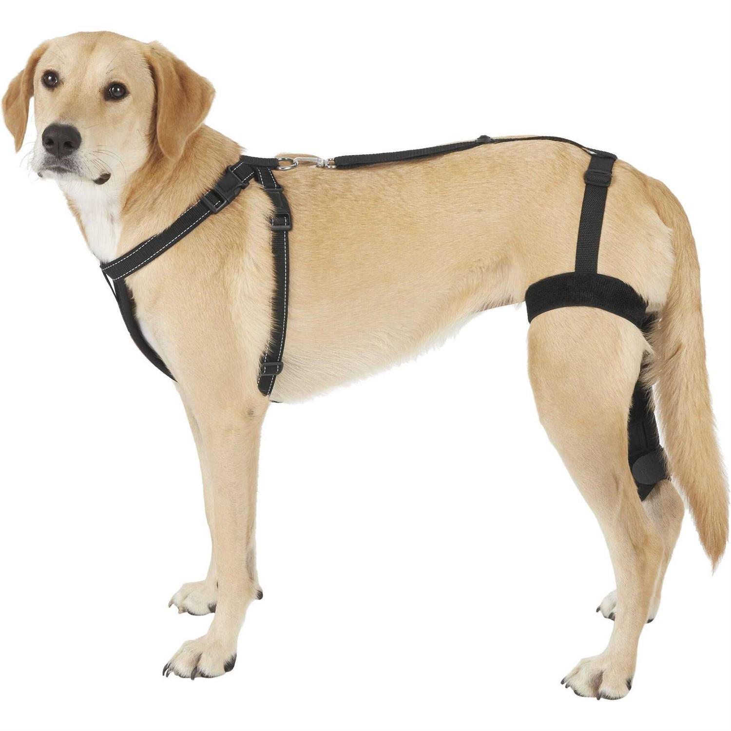Labra Dog Canine K9 Knee Stifle Brace Wrap Metal Hinged Flexible Support Treat ACL CCL Luxating Patella Cruciate Ligament Sprain Strain Tear Injuries - Healthber