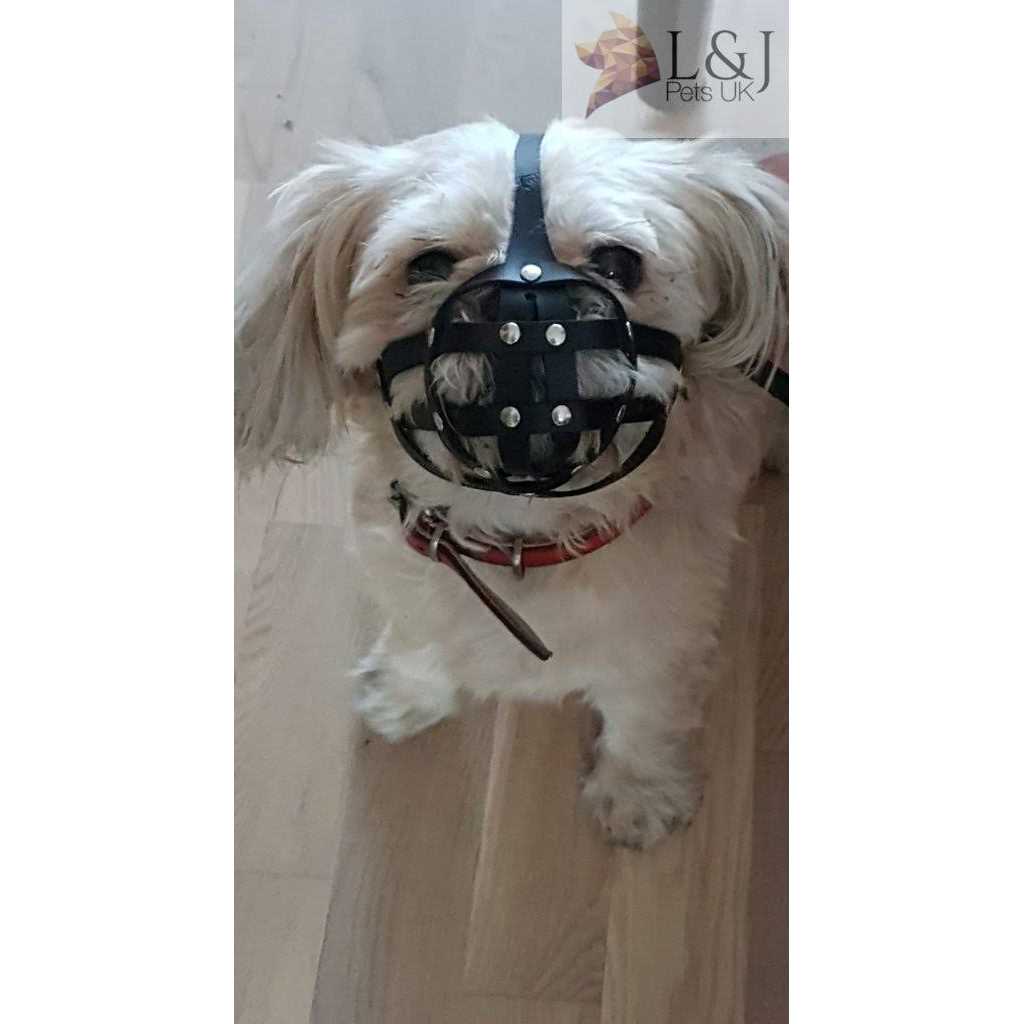 L&J Pets Uk Leather dog Muzzle for Shih Tzu and other flat face short snout dog’s - Healthber