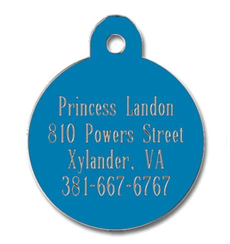 Large Circle Custom Personalized Dog Tag, Blue - Healthber