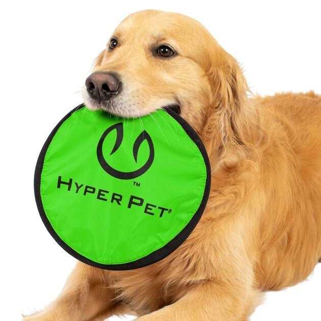 Hyper Pet Flippy Flopper - Healthber