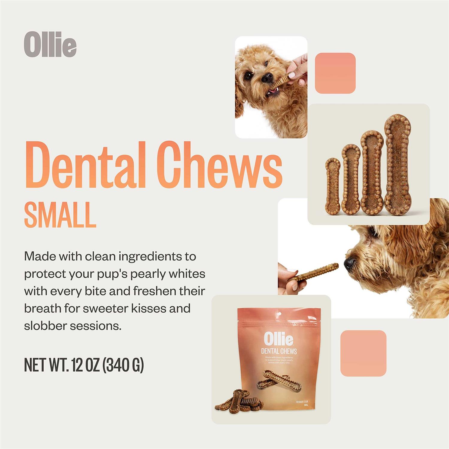 Ollie Dental Chews For Dogs Dog Breath Treats Dog Teeth Cleaning Treat - Healthber