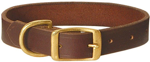 Flat Leather Dog Collar with Brass Hardware - Healthber
