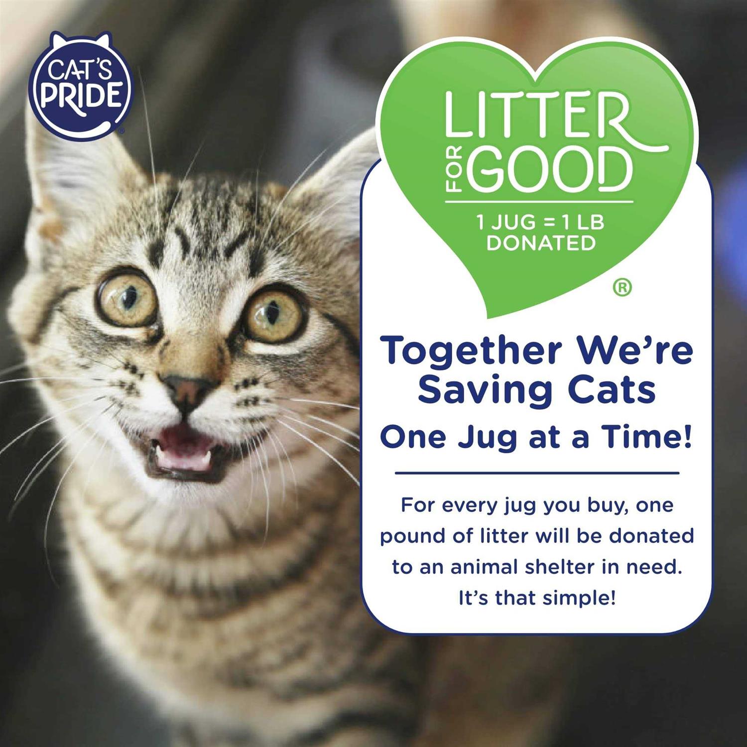Cat’s Pride Complete Care Unscented Multi-Cat Clumping Litter - Healthber