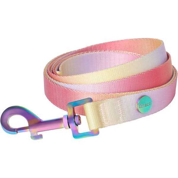 Frisco Ombre Style Dog Leash - Healthber