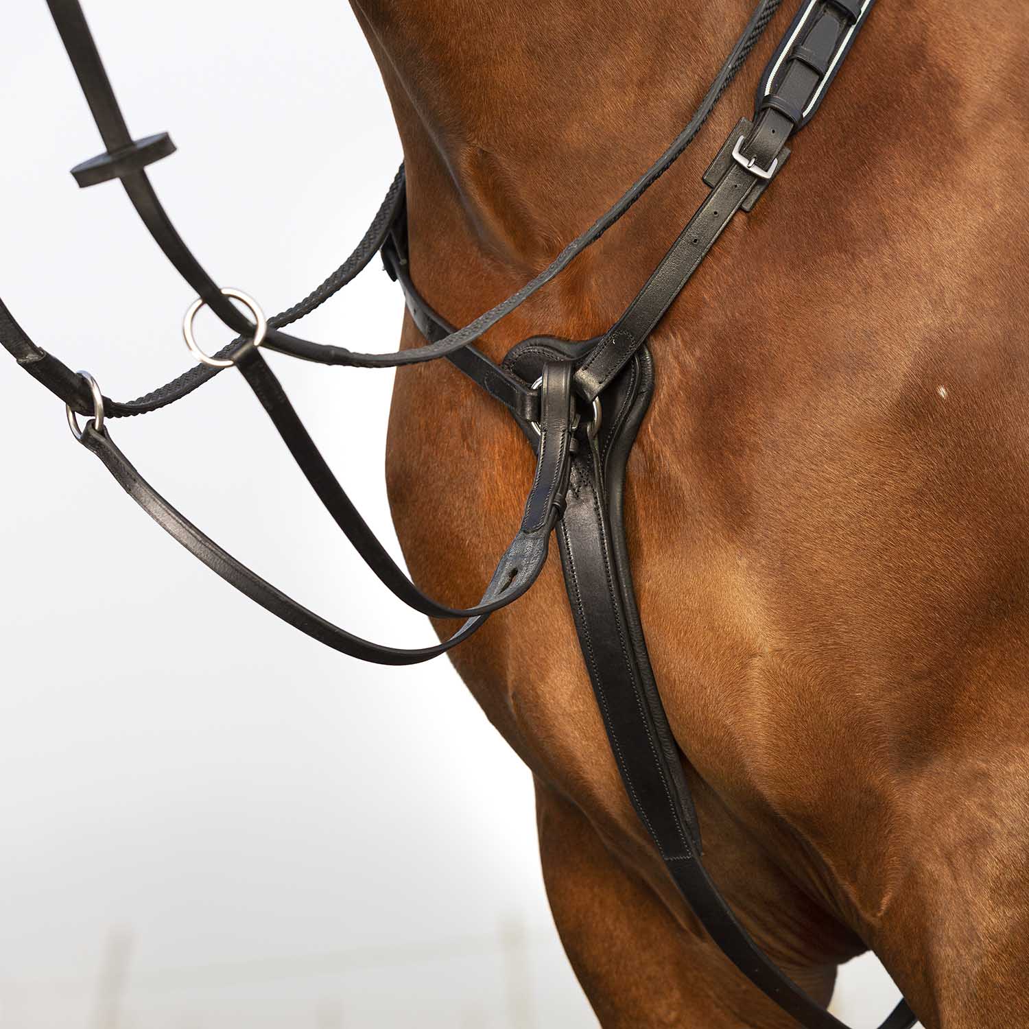 Rambo Micklem Breastplate - Healthber