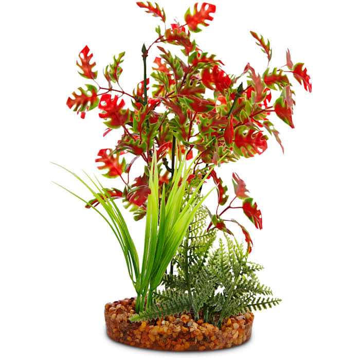 Imagitarium Pacifica Red & Green Plant - Healthber
