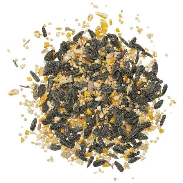 Kaytee Songbird Wild Bird Food - Healthber