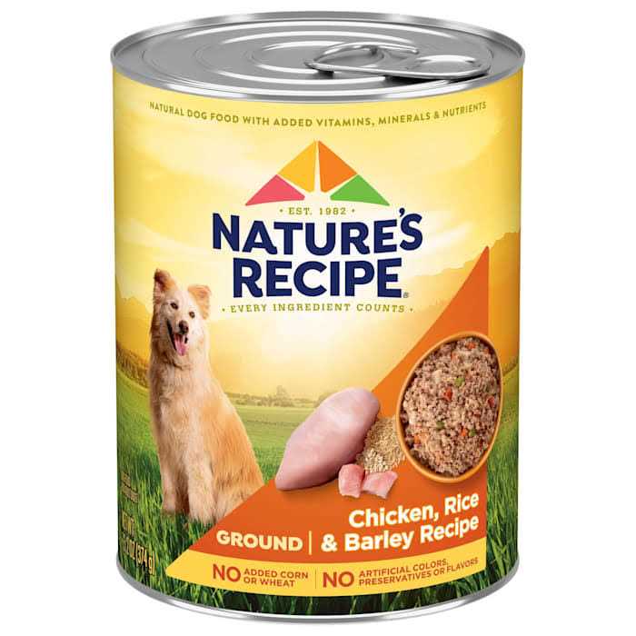 Nature’s Recipe Easy to Digest Adult Dog Food Chicken Meal Rice & Barley - Healthber