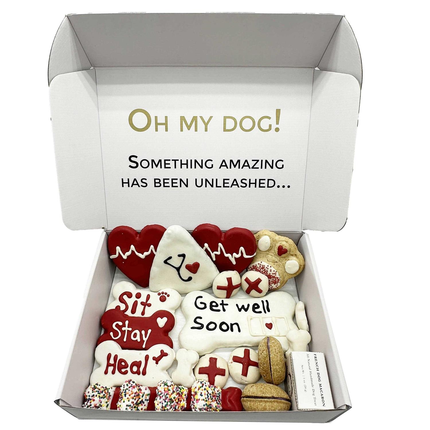 Bonne et Filou Get Well Soon Themed Dog Treats Gift Box - Healthber