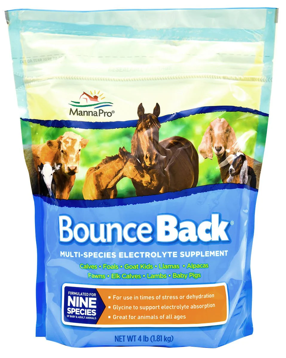 Bounce Back? Multi-Species Electrolyte Supplement - Healthber