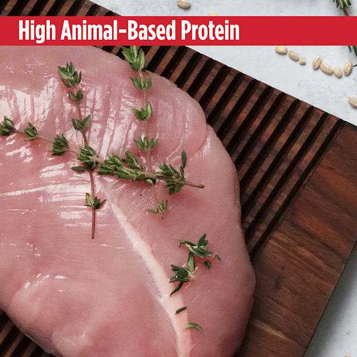 Nulo MedalSeries Large Breed Adult Dog Food Grain Free Turkey & Peas - Healthber