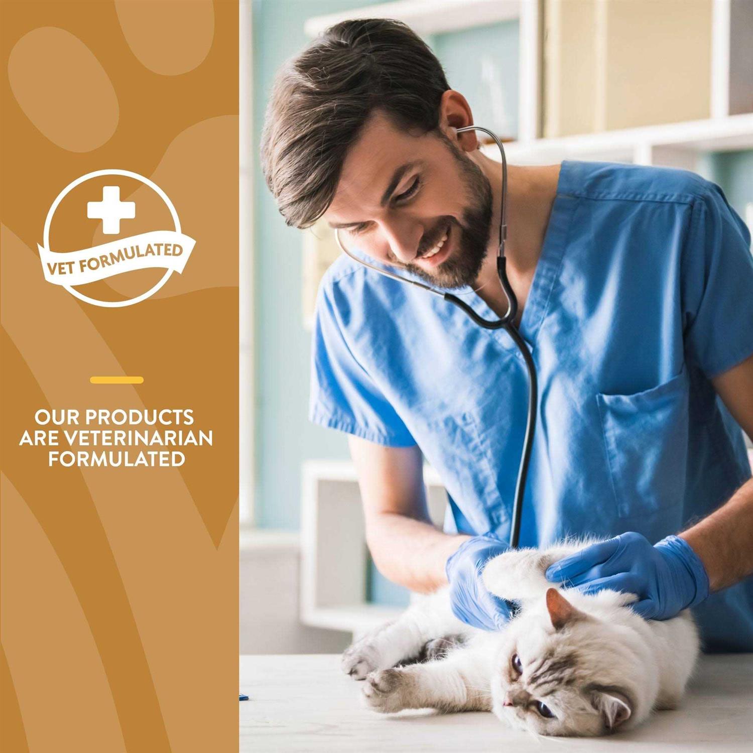 NaturVet Skin & Coat Plus Omegas for Cats - Healthber