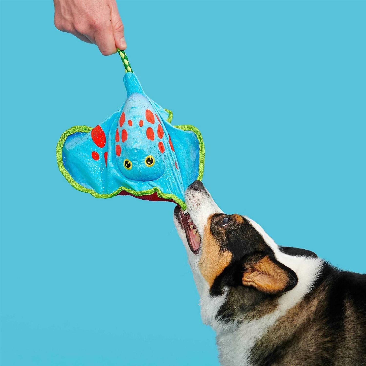 Bark Manny Ray Under the Seams Dog Toy - Healthber
