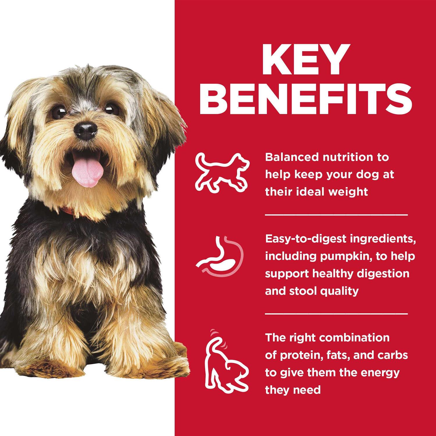 Hill’s Science Diet Adult Small Paws Wet Dog Food Variety Pack - Healthber