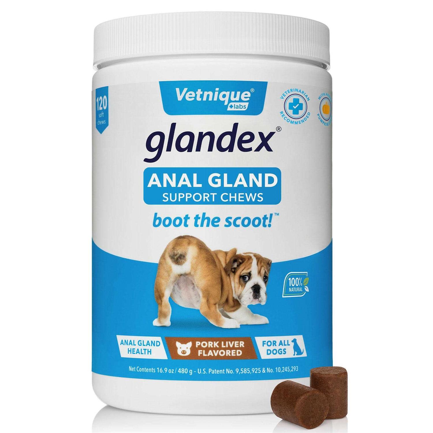 Glandex Anal Gland Soft Chews Supplement for Dogs - Healthber