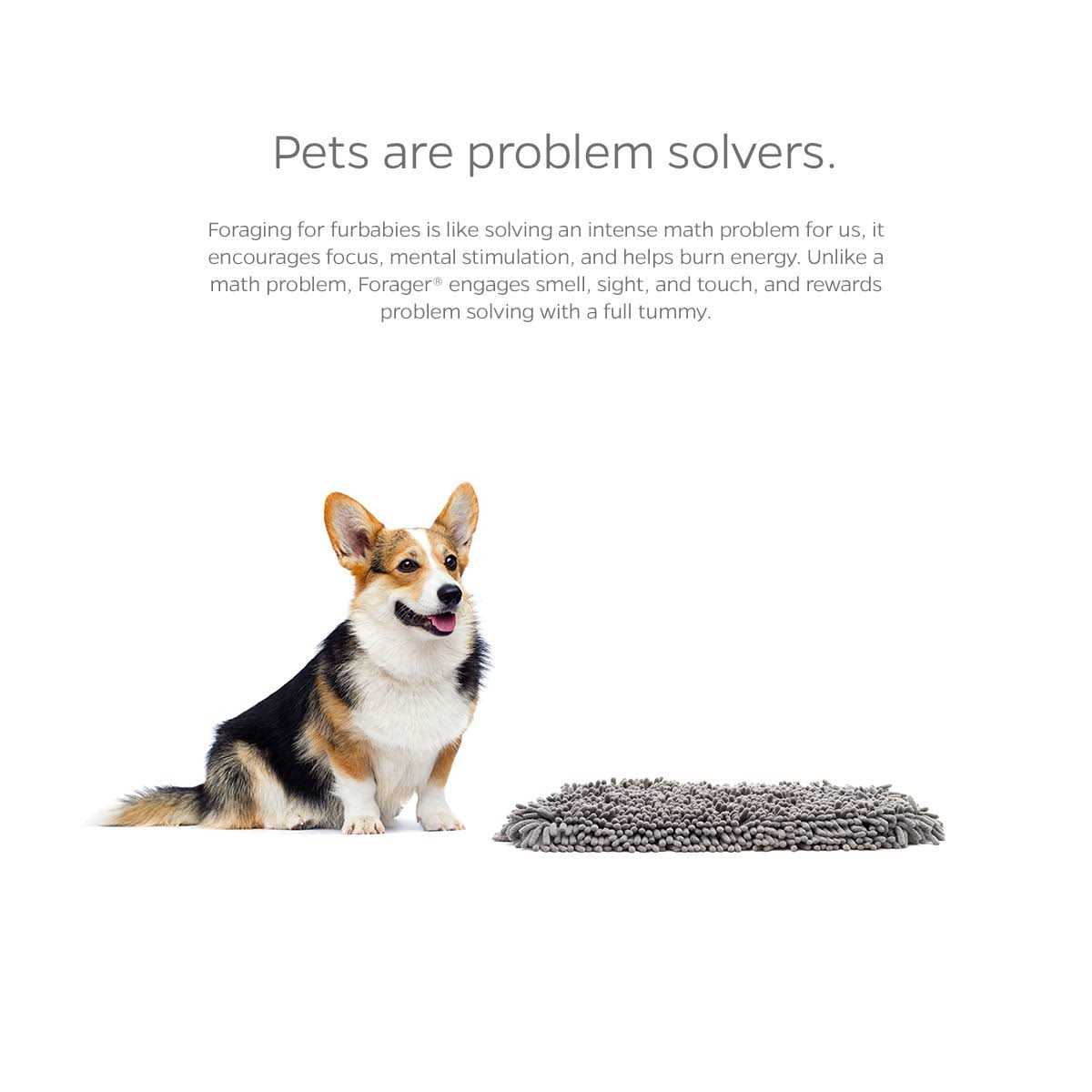 Pet Parents Forager Slow Feeder Cat & Dog Snuffle Mat & Feeding Mat - Healthber