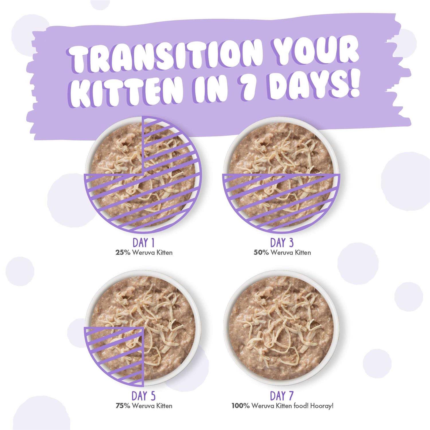 Weruva Kitten Can Jam Variety Pack Wet Cat Food - Healthber