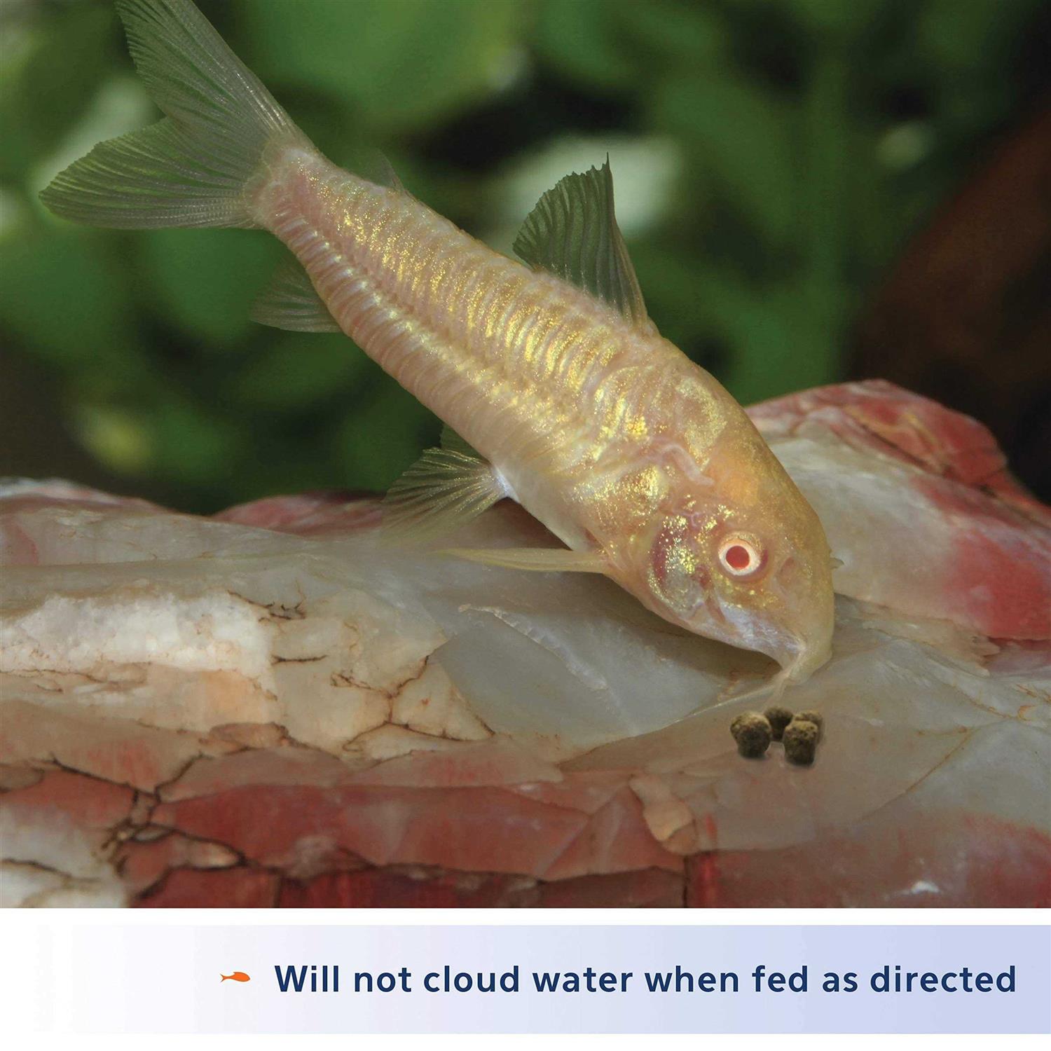 Aqueon Shrimp Pellets - Healthber
