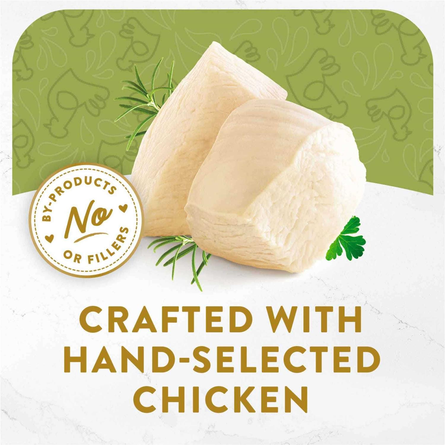 Fancy Feast Appetizers White Meat Chicken Broth Wet Cat Food - Healthber