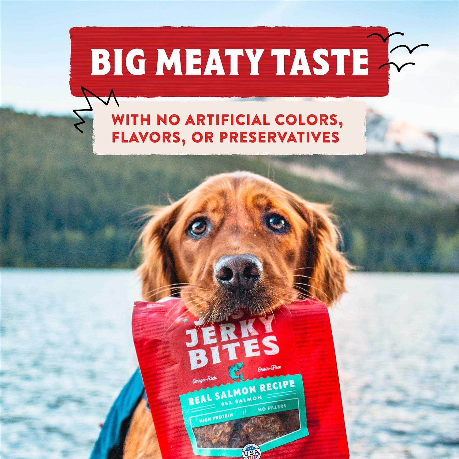 Stella & Chewy’s Just Jerky Bites Dog Treats - Healthber