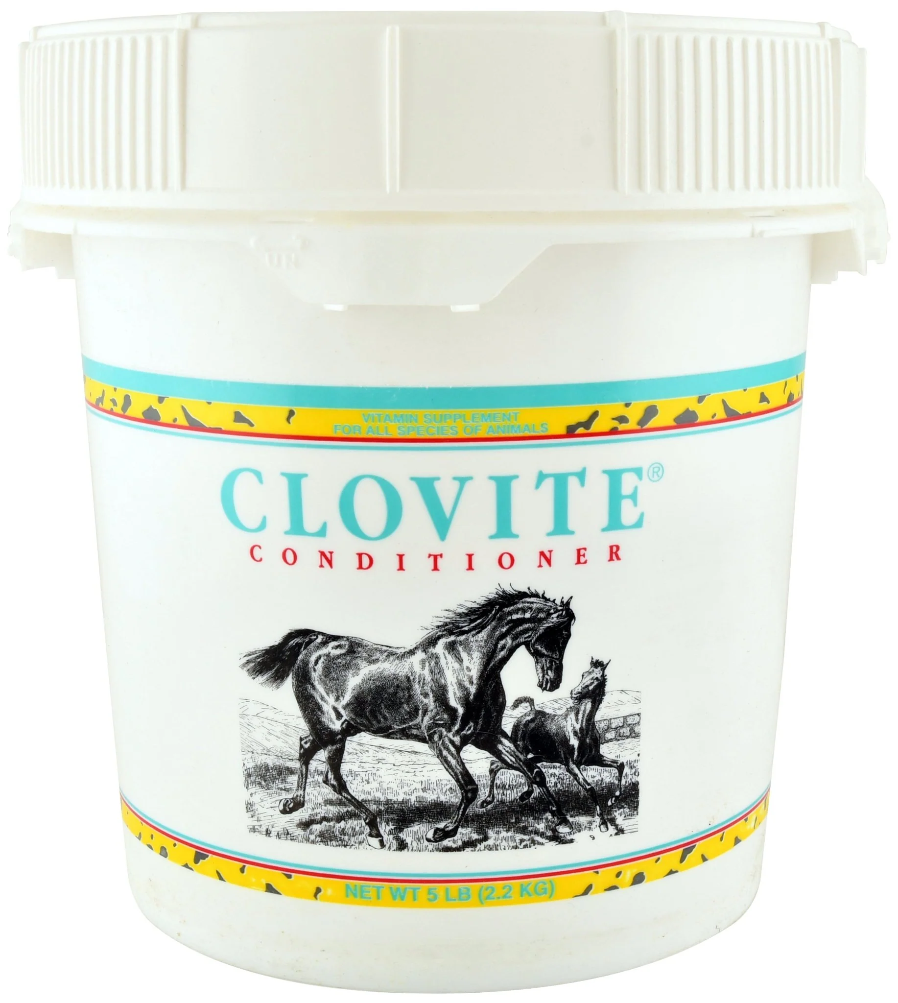 Clovite Conditioner - Healthber