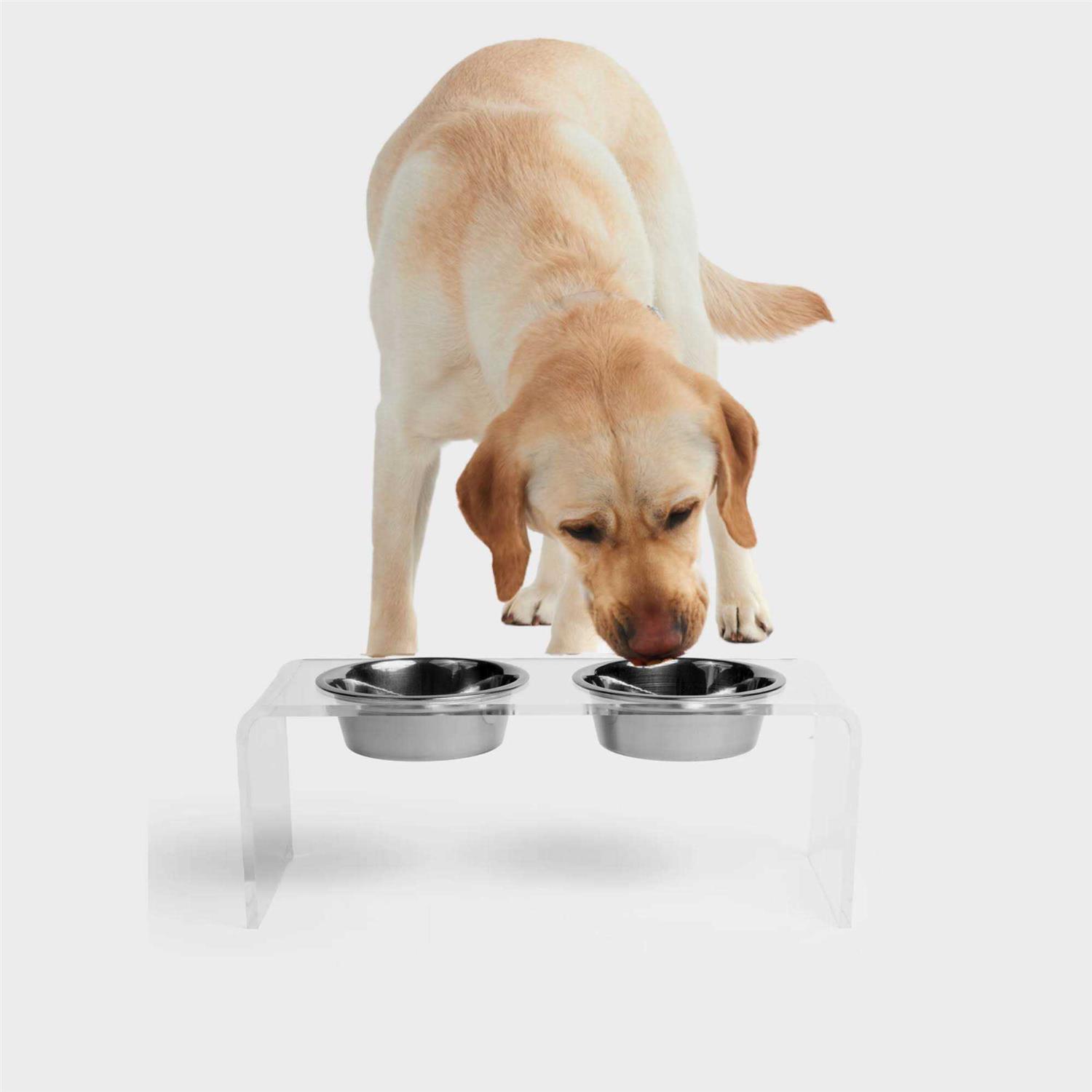 Hiddin Clear Double Bowl Pet Feeder - Healthber