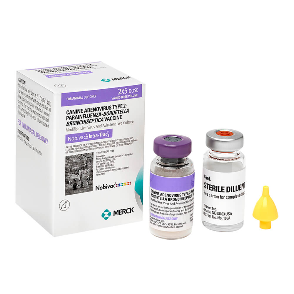 Nobivac Intra-Trac 3 Intranasal Vaccine - Healthber