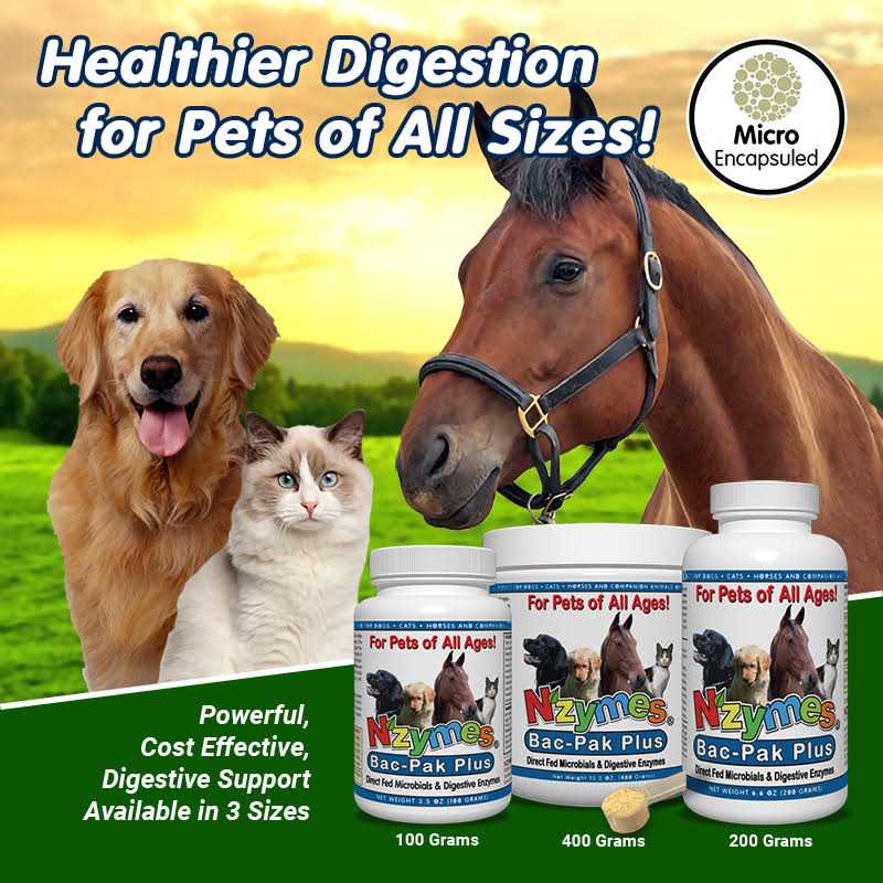Nzymes Bac-Pak Plus 400gm for Pets - Healthber