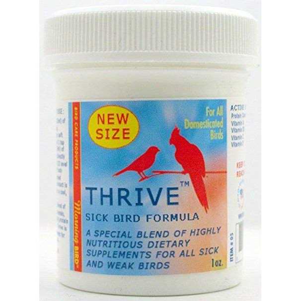 Morning Bird Thrive - Healthber