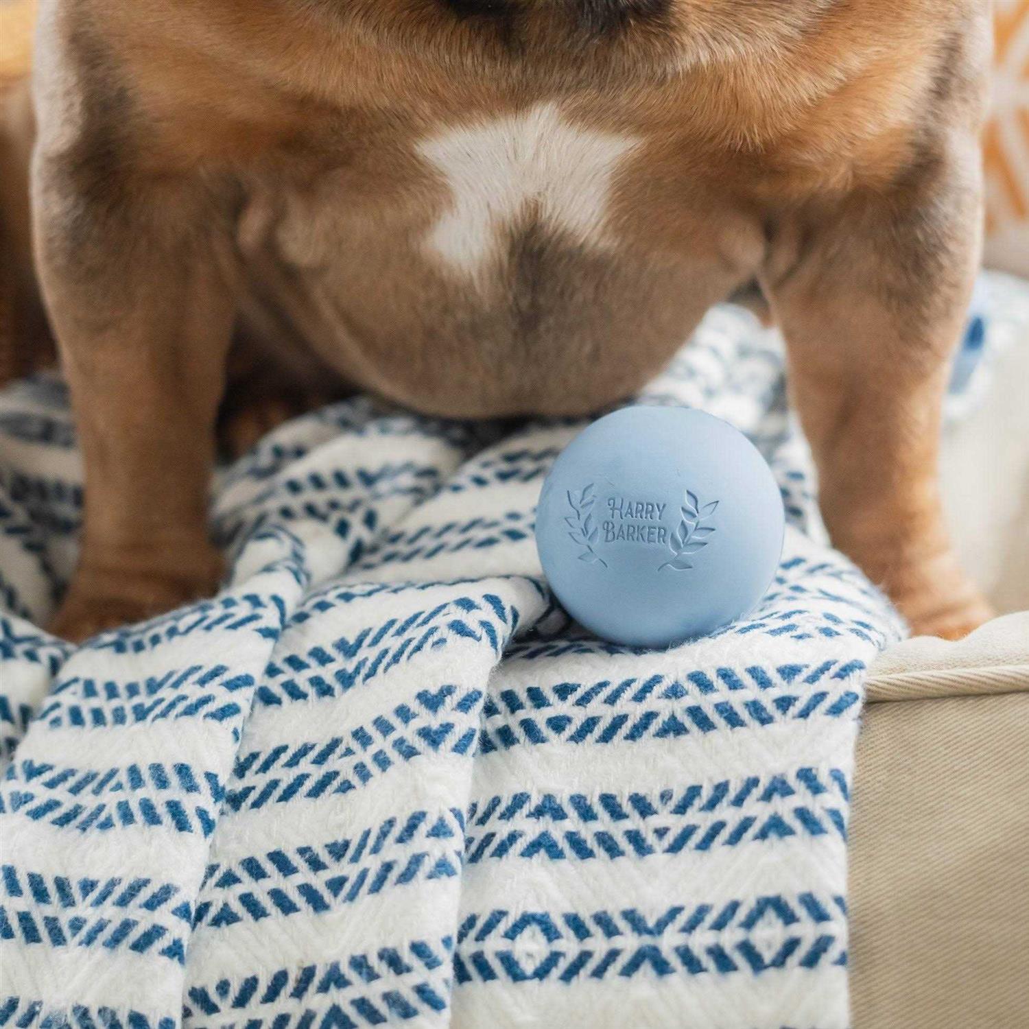 Harry Barker Rubber balls and Rubber chew stick - Healthber