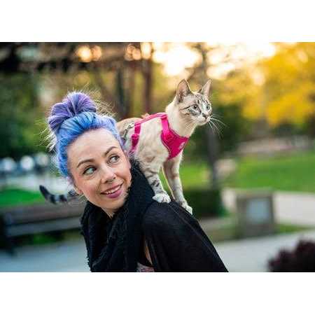 RC Pets Adventure Kitty Cat Harness - Healthber
