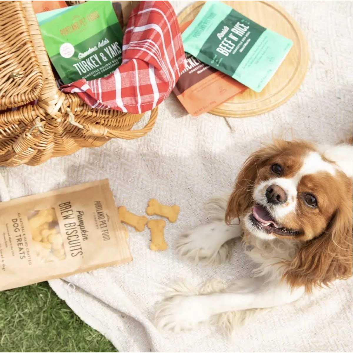 Portland Pet Food Company Rosie’s Beef N’ Rice Homestyle Wet Dog Food Topper - Healthber