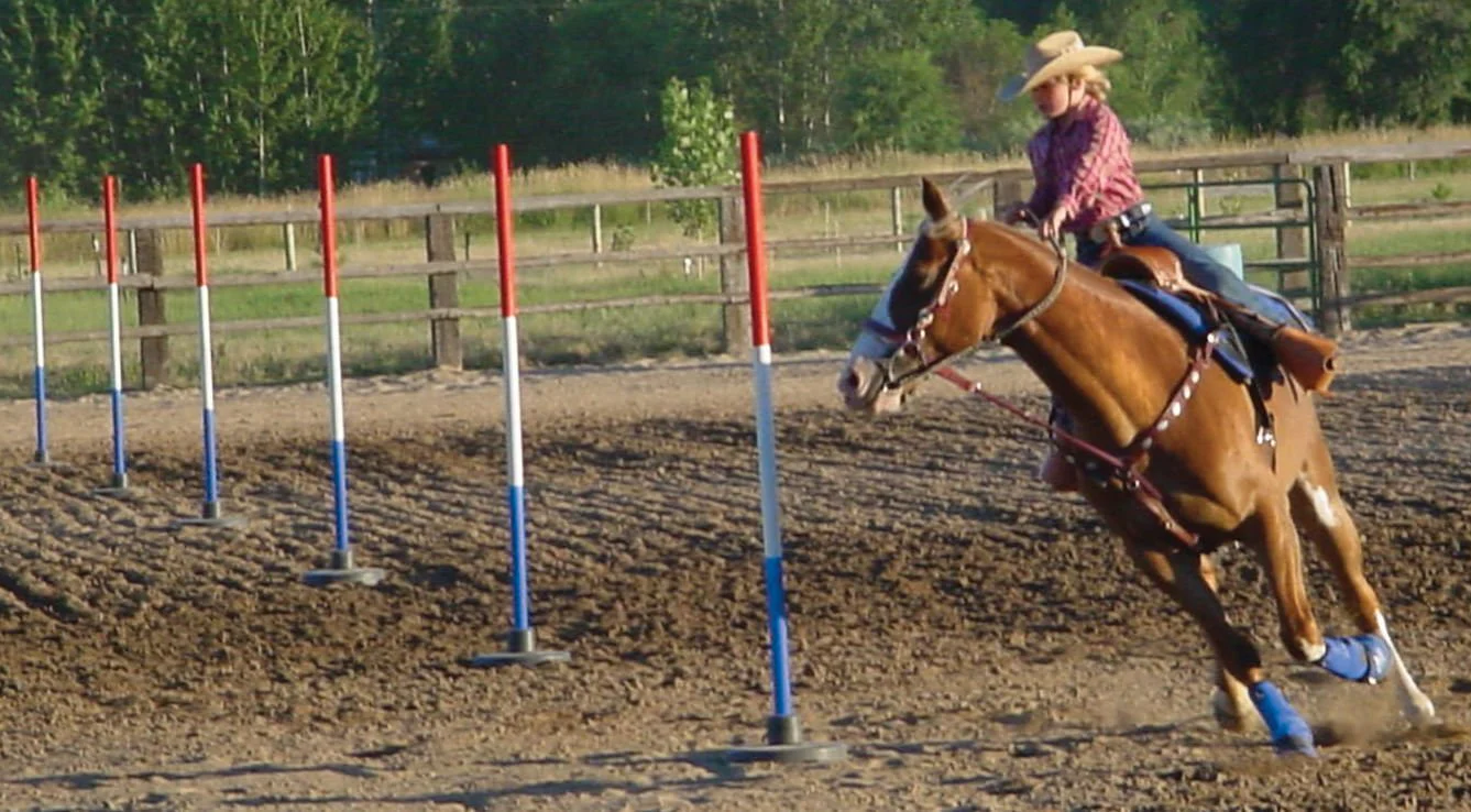 Break-Down Pole Bending Poles - Healthber