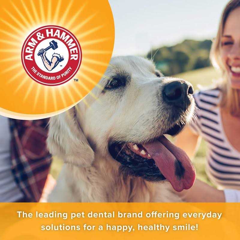 Arm & Hammer for Pets Dental Mints for Dogs Fresh Breath Get Fresh Doggie Breath Without Brushing - Healthber