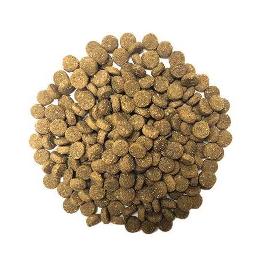 Muenster Ancient Grains with Ocean Fish Dog Food - Healthber