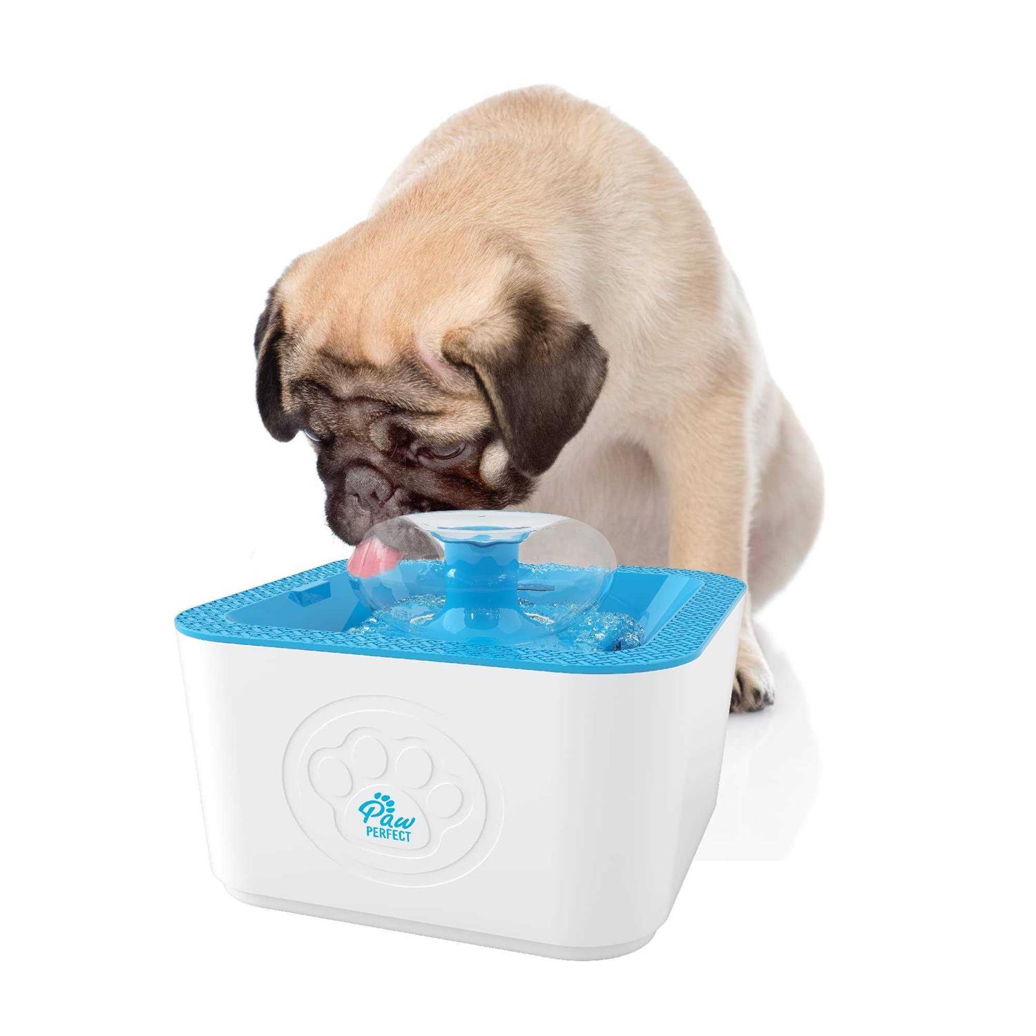 Paw Perfect Dog & Cat Filtered Water Fountain - Healthber