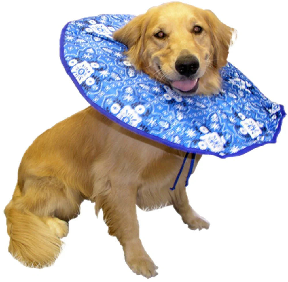 Soft E Dog Collar, XL, 75-95 lbs - Healthber