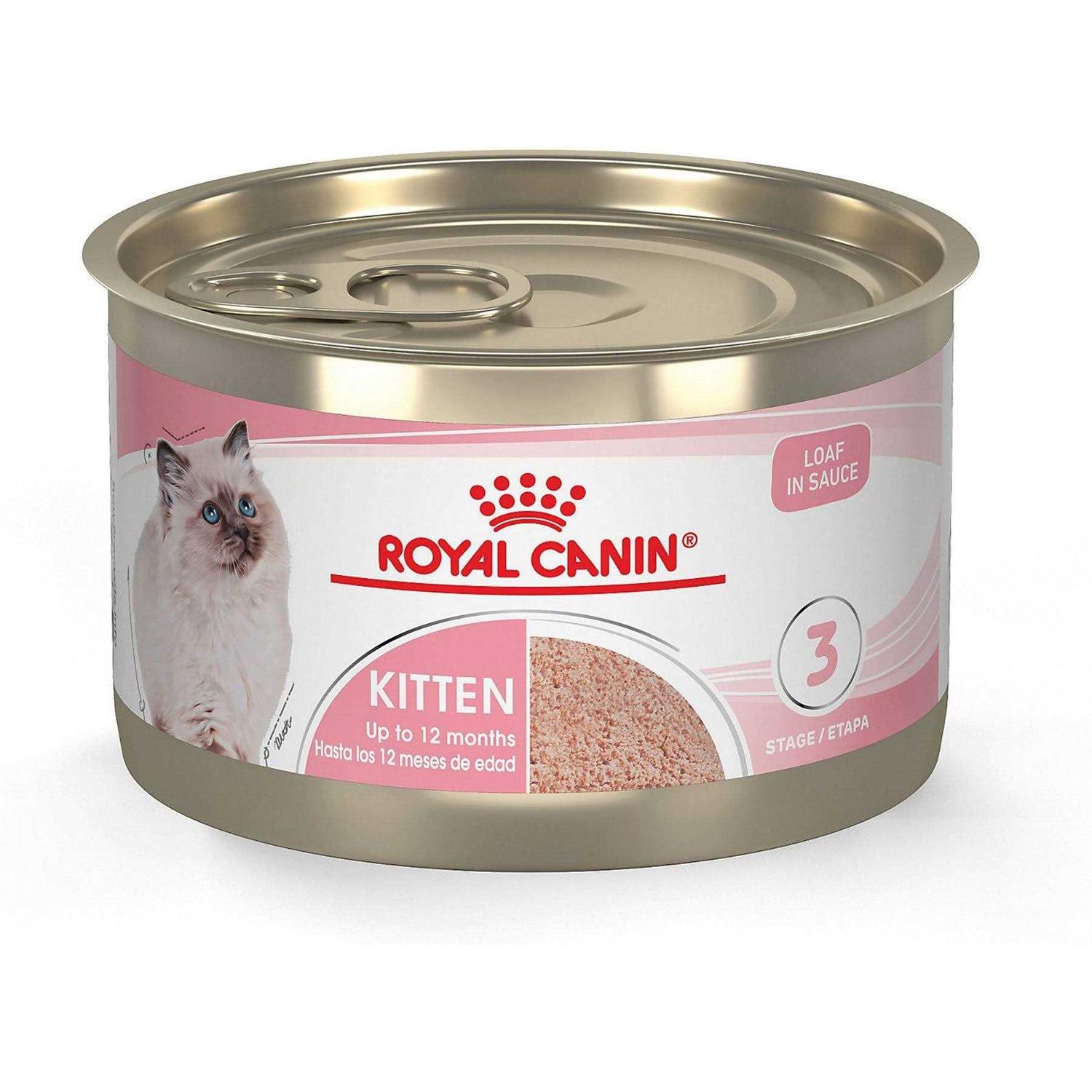 Royal Canin Kitten Loaf in Sauce Cat Food - Healthber